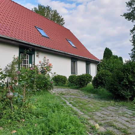 Oeko-Ferienhaus Rappin Exterior foto